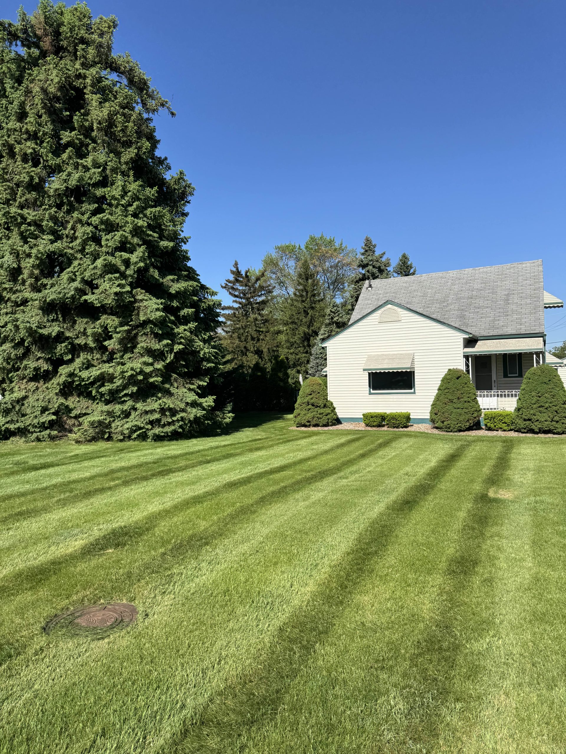 Outdoor living space design and build