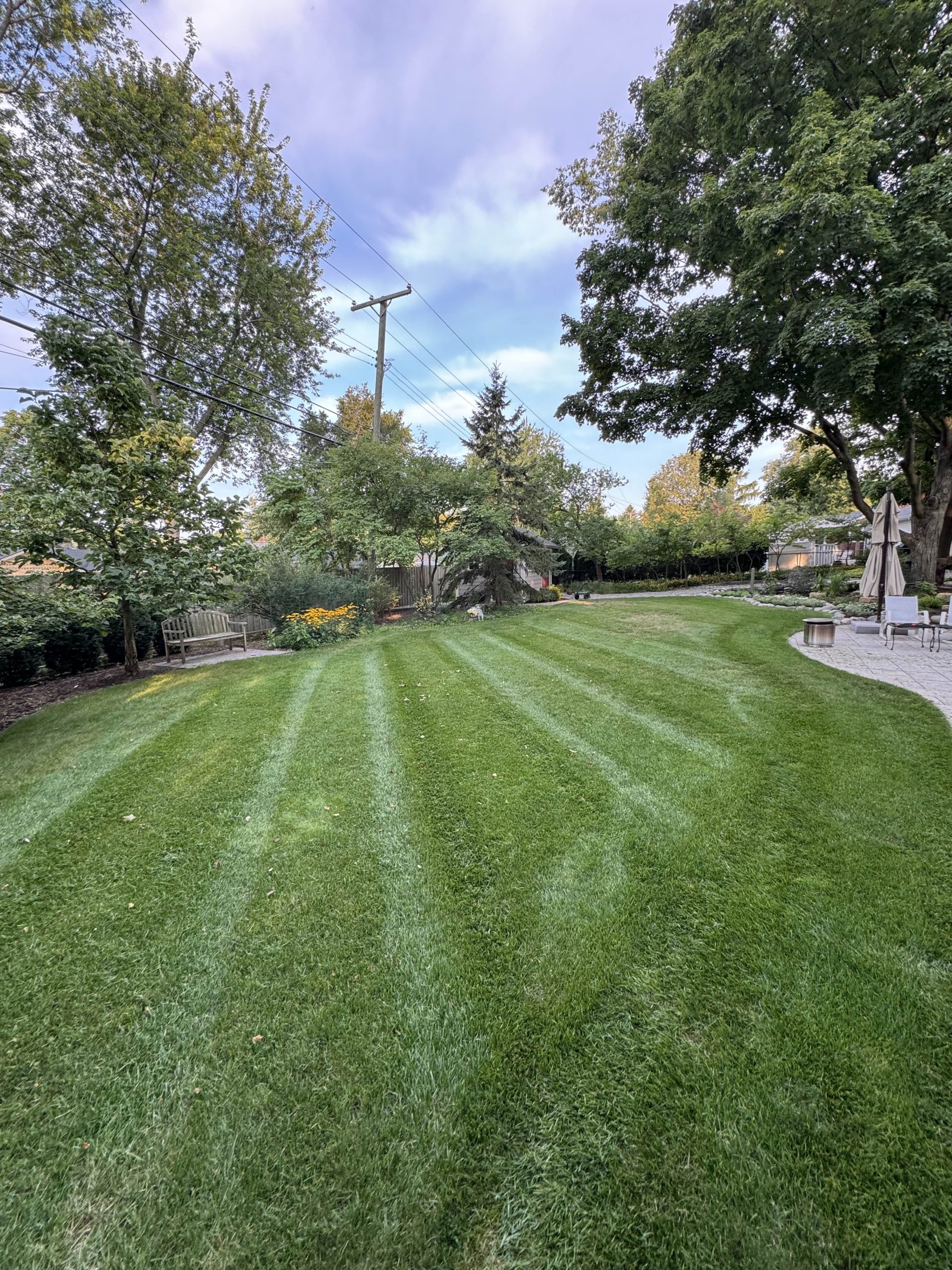 Backyard transformation with patio and landscaping